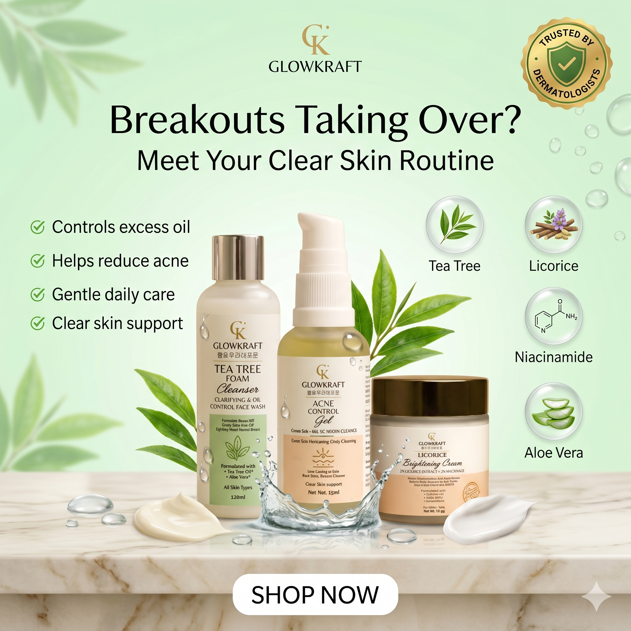 Clear Skin Kit  Cleanser + Acne Gel + Cream
